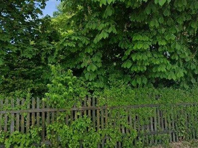 66 m2 apartment for rent in Oberndorf bei Schwanenstadt