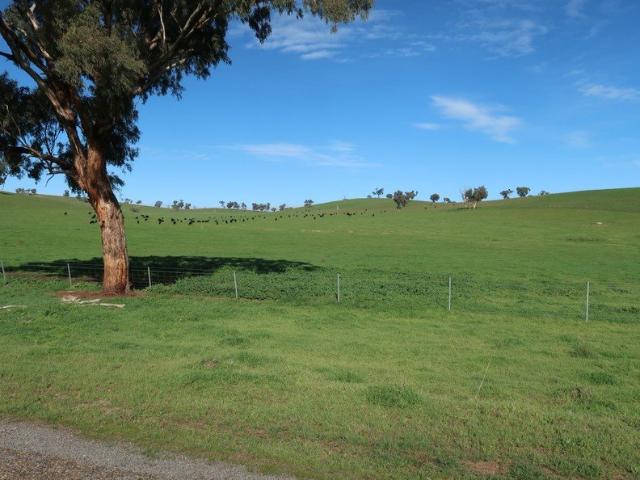 672 ACRES 271.95HA CATTLE BREEDING AND FATTENING