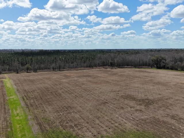 6775 Highway 90, Grand Ridge, FL 32442 | MLS #786833