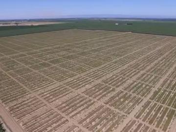6783 COUNTY ROAD 33, ORLAND, CA 95963