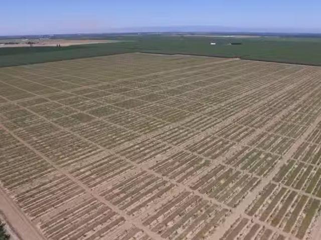 6783 COUNTY ROAD 33, ORLAND, CA 95963