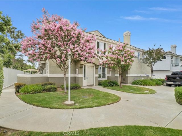 678 Azure Lane 5