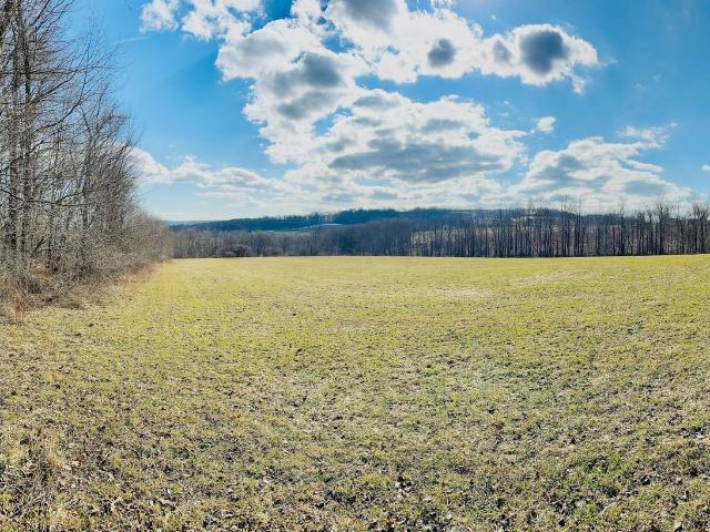 681 Great Bend Tpke, Pleasant Mount, PA