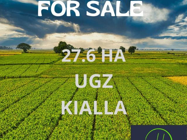 68 Acres of Premium Land in UGZ Kialla