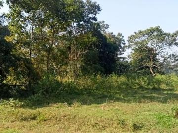 Land for sale in Assam