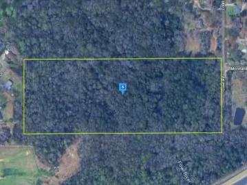 6950 CREEL RD, THEODORE, AL 36582