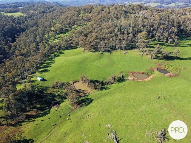 69.2 Acres of Rural Opportunity