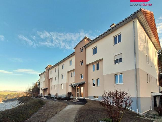 6 Mon Mietreduziert* Wohnung in Neu Saniertem Wohnhaus