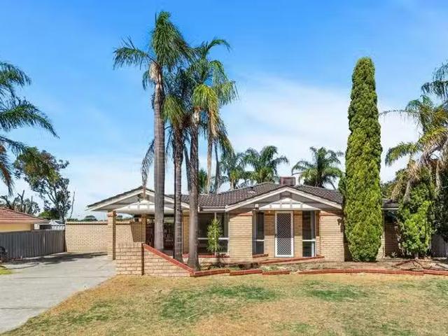 6 Allamanda Gardens, MIRRABOOKA, WA 6061 House for Rent