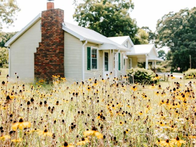 6 Burt Road