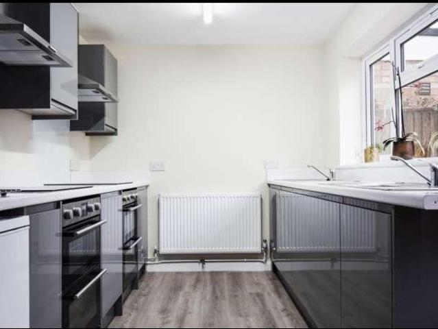6 bed house to rent