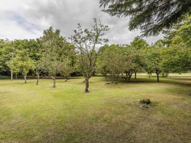 6 bed house for sale