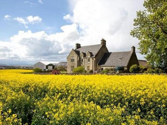 6 bedroom detached house to rent