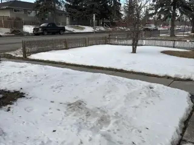 6 Bedroom House Calgary AB 104434248
