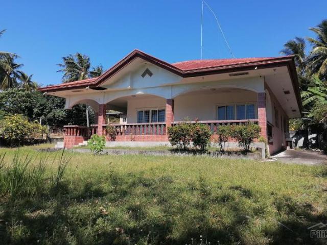 6 bedroom House and Lot for sale in Dauin