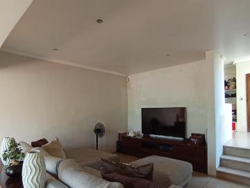 Morning Side Extentions, City of Ekurhuleni Metropolitan Municipality, Gauteng, South Africa