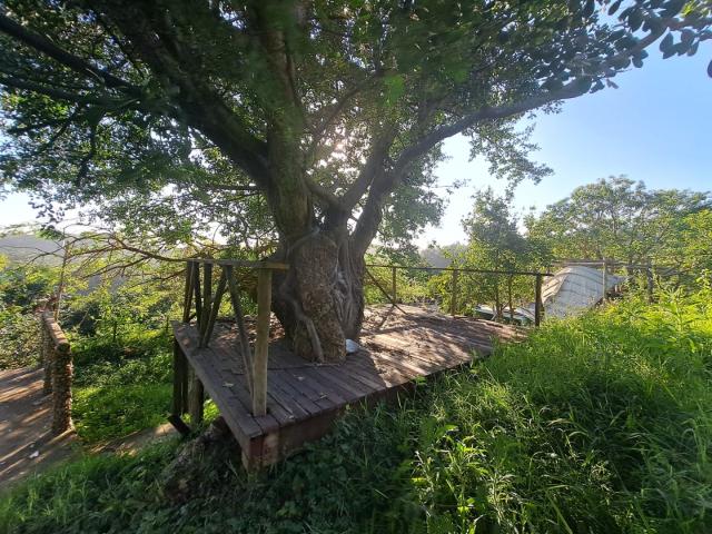 6 Bedroom House For Sale in Umzumbe