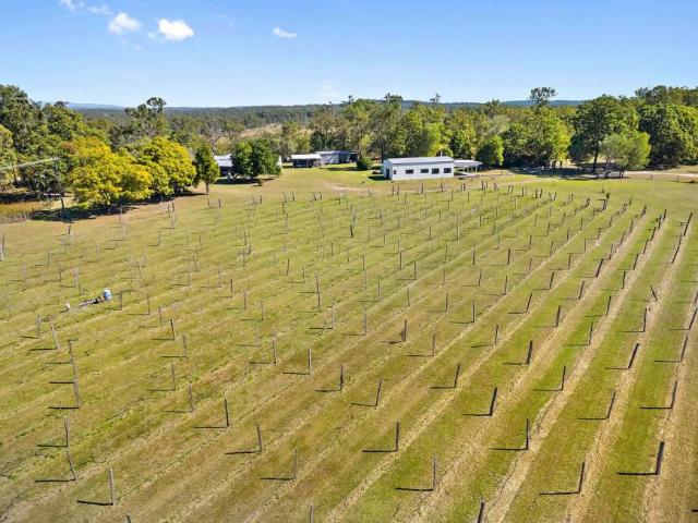 6 Bedroom House SOUTH ISIS QLD 104947614