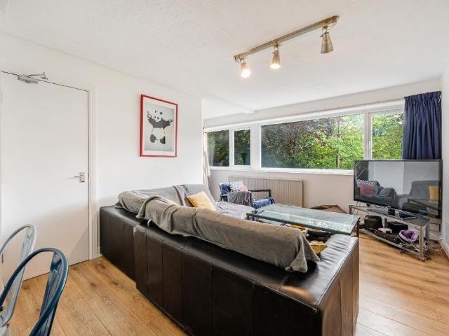 6 bedroom house to rent