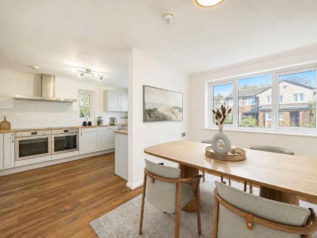 6 bedroom house to rent