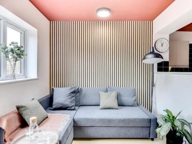 6 bedroom house to rent