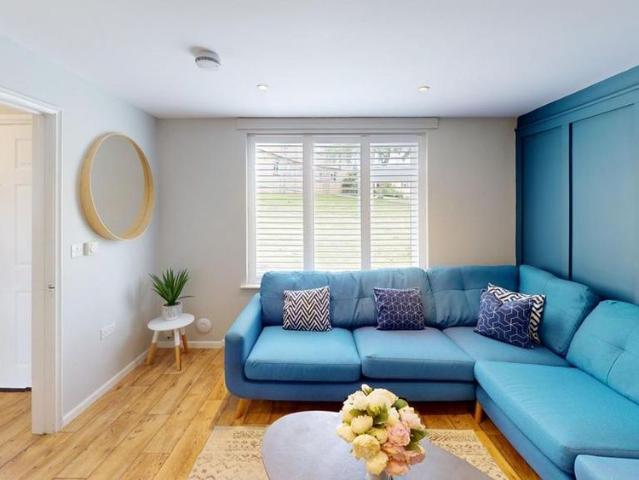 6 bedroom house to rent