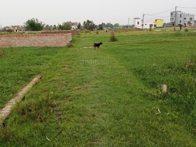 6 BHK Farm House in Ichhapur Defence Estate for resale Kolkata. The reference number is 20911544