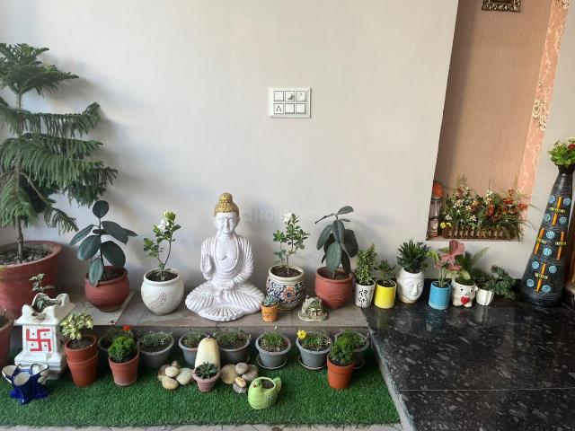 6 BHK Independent House in Civil Lines for resale Ludhiana. The reference number is 19613033