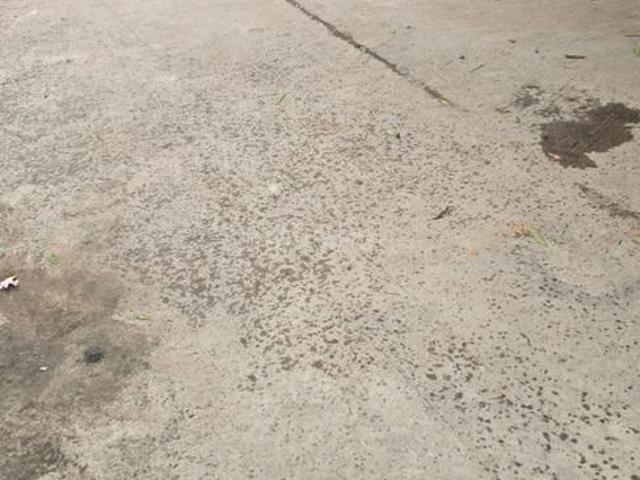 6 BHK Independent House in Habsiguda for resale Hyderabad. The reference number is 20616861