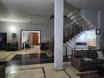 6 BHK Independent House in Model Town for rent Panipat. The reference number is 20534720