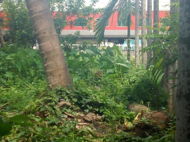 6 BHK Independent House in Ramrajtala for resale Howrah. The reference number is 20785637