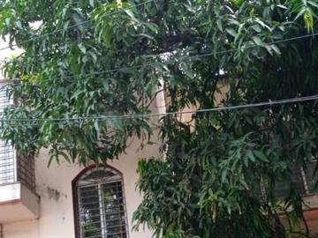 6 BHK Independent House in Salt Lake City for resale Kolkata. The reference number is 20246340