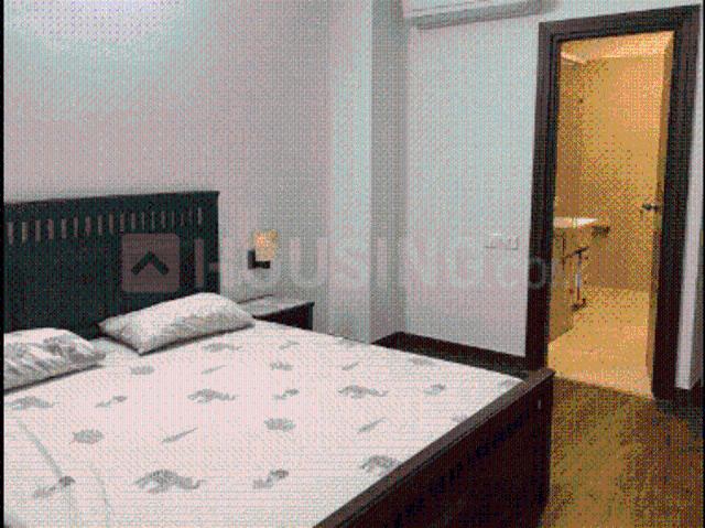 6 BHK Independent House in Sector 20 for resale Chandigarh. The reference number is 21143061