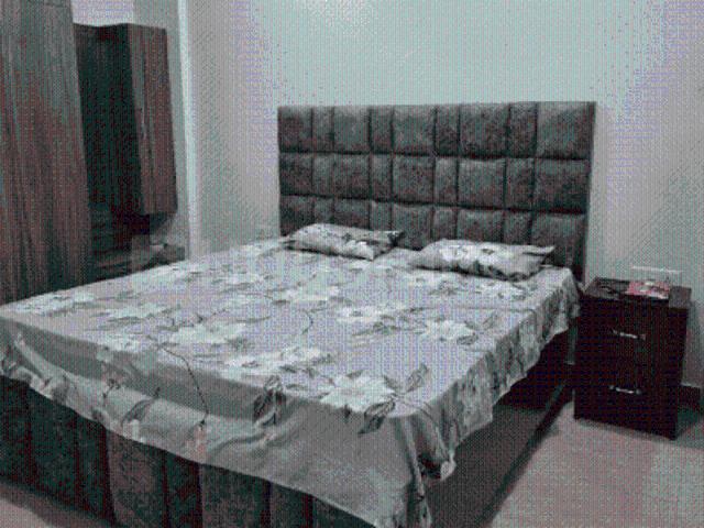 6 BHK Independent House in Sector 46 for resale Chandigarh. The reference number is 19859990