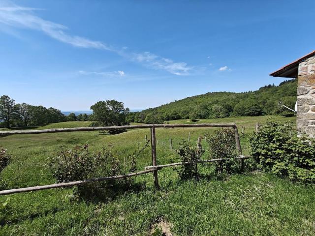 6 Camere Villa Toscana In Vendita A6273rva 1010m² Pontassieve