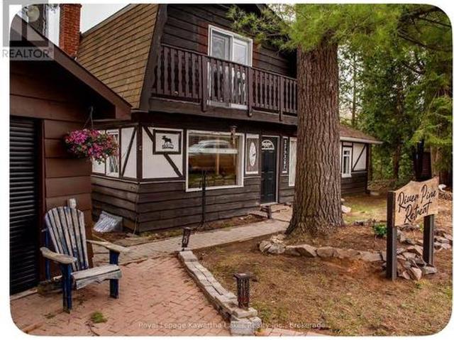 6 Cameron Road, Kawartha Lakes Laxton/Digby/Longford, ON, K0M 2L0 house for sale | Listing ID X13827 | Royal LePage
