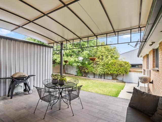 6 Cassinia Street