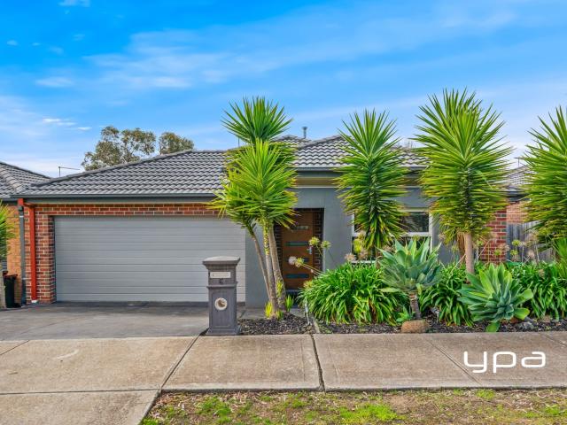 6 Chard Pl, Sunbury
