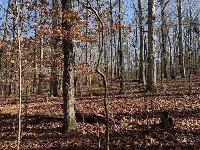 6 COUNTY ROAD 751, VALLEY HEAD, AL 35989
