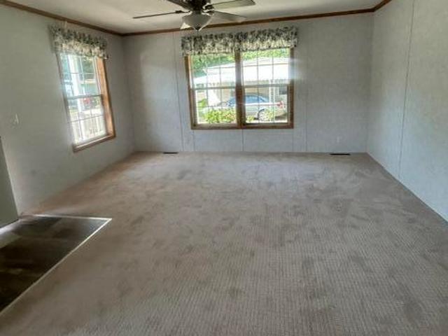 6 Eagle Road