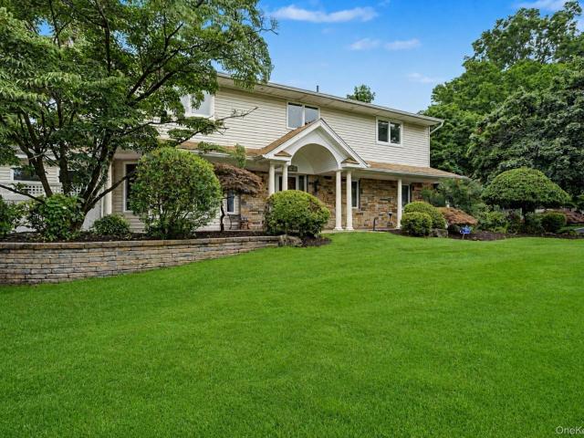 6 Field Daisy Lane