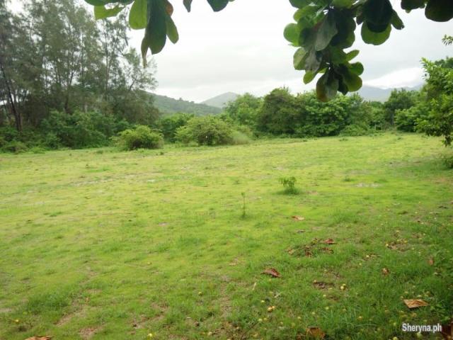 6 hec Residential Farm, CABANGAN, ZAMBALES