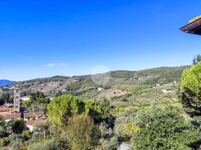 6 locali in affitto