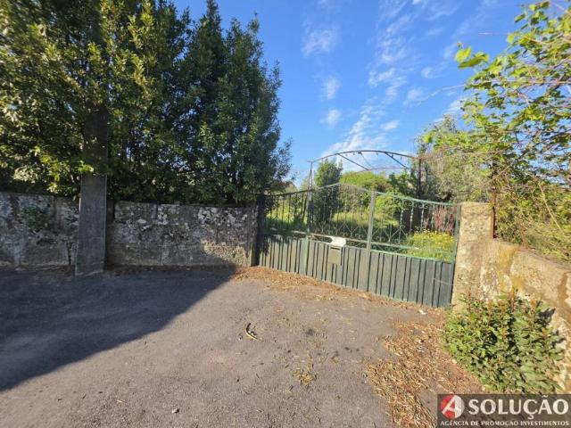6 quarto, Viseu Viseu 3505 101724439