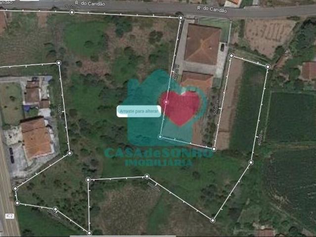 6 quarto, Aveiro Albergaria 3850 103878758