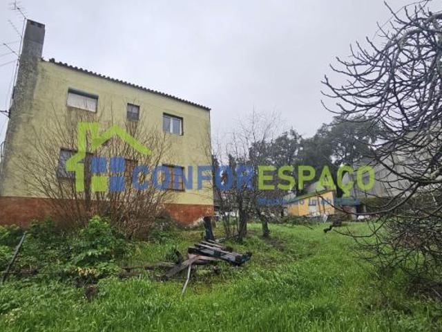 6 quarto, Castelo Branco Castelo Branco 6000 99006037