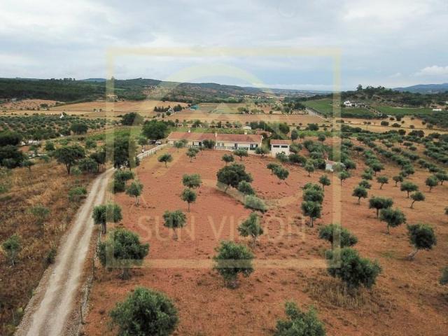 6 quarto, Estremoz Estremoz 97123405