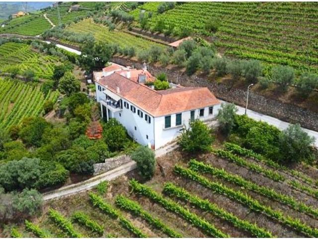 6 quarto, Lamego Lamego 99639746