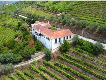 6 quarto, Lamego Lamego 99639746