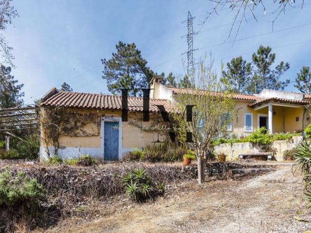 6 quarto, Lisboa Azambuja 2050 103367860